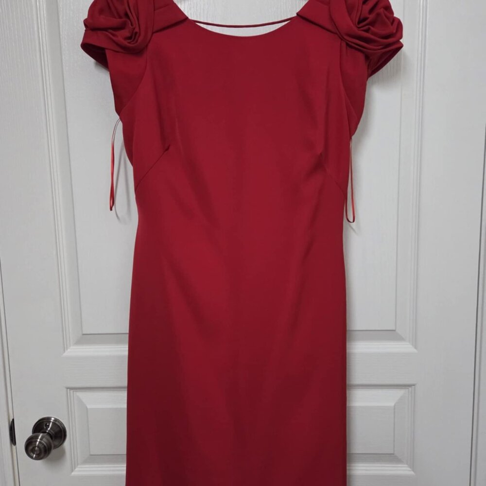 Lady in Red ... Stunning Dress!